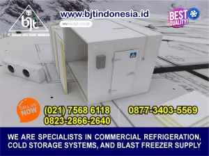 Teknologi Terbaru dalam Cold Room Freezer: Membekukan dengan Presisi 2 Ton Kapasitas